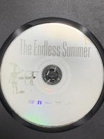 エンドレス・サマー デジタルサイト マイク・ハンソン [DVD]