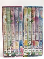 輸入盤 キャンディキャンディ 全115話 韓国語版 水木杏子 いがらしゆみこ（DVD-BOX2セット/ DVD20枚組）