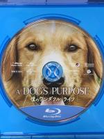 僕のワンダフル・ライフ NBCユニバーサルエンターテインメント ジョシュ・ギャッド [Blu-ray]