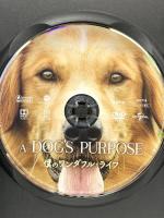 僕のワンダフル・ライフ NBCユニバーサルエンターテインメント ジョシュ・ギャッド  [DVD]