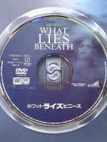 ホワット・ライズ・ビニース〈特別編〉 20世紀 フォックスホームエンターテイメント ハリソン・フォード [DVD]