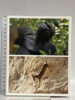 BBC EARTH ライフ ブルーレイ・デラックスBOX [episode1-10] ソニー・ピクチャーズエンタテインメント ドキュメンタリー Blu-ray 5枚組