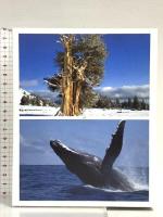 BBC EARTH ライフ ブルーレイ・デラックスBOX [episode1-10] ソニー・ピクチャーズエンタテインメント ドキュメンタリー Blu-ray 5枚組