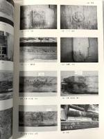 図録 東大阪市指定文化財団 旧河澄家住宅主屋・棲鶴楼保存修理工事報告書 平成22年 東大阪市教育委員会