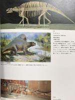 図録 中国の恐竜展 1981 朝日新聞社