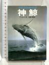神鯨 (ハヤカワ文庫 SF 312) 早川書房 T・J・バス