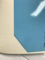 巨鯨: WHALES&DOLPHINS (講談社文庫 み 33-1) 講談社 水口 博也