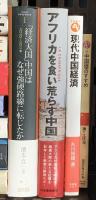 中国経済・中国社会関係 まとめて30冊以上 中国経済の転換点 現代中国経済論 中国発グローバル企業の実像 他