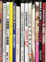 2 写真集 まとめて 30冊以上 セット 松井珠理奈 田中麗奈 乙葉 石田ゆり子 柏木由紀 西田ひかる 他