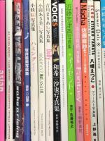 3 写真集 まとめて 30冊以上 セット 白石麻衣 小嶋陽菜 長澤奈央 和希沙也 寺田有希 他