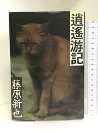 逍遙游記　　朝日新聞社　藤原新也