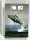神鯨 (ハヤカワ文庫 SF 312) 早川書房 T.J.バス