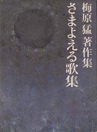 梅原猛著作集〈12〉さまよえる歌集 (1982年)