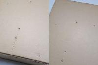 ヒエロニムス・ボッス全作品