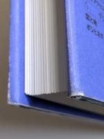 リコンフィギュアード・アイ　デジタル画像による視覚文化の変容