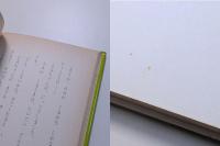 かぜの日のどん