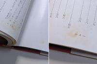 たぬき学校