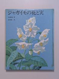 ジャガイモの花と実