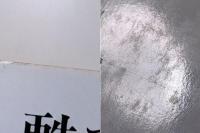 甦る古代人 : デンマークの湿地埋葬