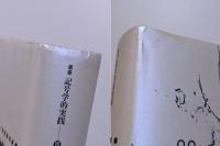 昔話の形態学