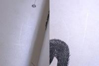 昔話の形態学