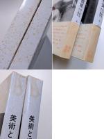美術と視覚　美と創造の心理学　上下2巻揃