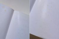 分子進化の中立説