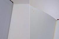 分子進化の中立説