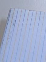 ミッツ　ヴァージニア・ウルフのマーモセット