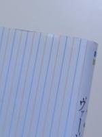 ミッツ　ヴァージニア・ウルフのマーモセット