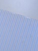 ミッツ　ヴァージニア・ウルフのマーモセット