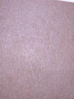 観覧車物語 : 110年の歴史をめぐる