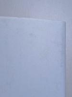 サイのクララの大旅行 : 幻獣、18世紀ヨーロッパを行く