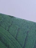 シャムロック・ティー