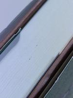 シャムロック・ティー