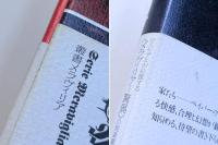 カステロフィリア　記憶・建築・ピラネージ