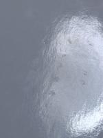 利口な女狐の物語