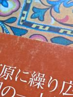 小説遊牧民 : アイハヌム 2011