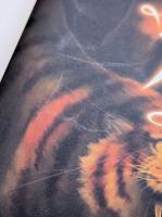 博物館の秘密　トム・スキャッタホーンの大冒険