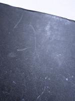 博物館の秘密　トム・スキャッタホーンの大冒険