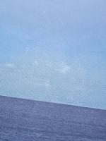 アホウドリと「帝国」日本の拡大　南洋の島々への進出から侵略へ