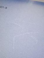 北西海岸先住民の文化変容　伝統、芸術・芸能、観光産業