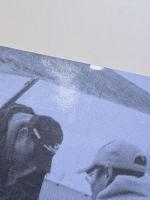 カナダ・イヌイトの民族誌　日常的実践のダイナミクス