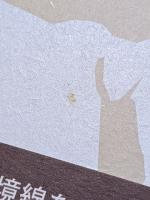 カザフ遊牧民の移動　アルタイ山脈からトルコへ1934-1953