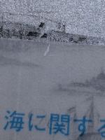 ヨーロッパの北の海　北海・バルト海の歴史