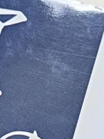 シベリア先住民の歴史　ロシアの北方アジア植民地 : 1581-1990