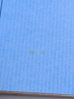 民族自決権について