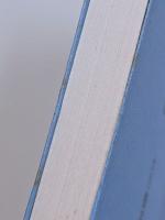 民主主義革命における社会民主党の二つの戦術