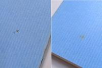 共産主義における「左翼」小児病