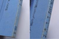 共産主義における「左翼」小児病